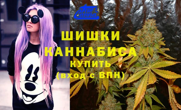 МДПВ Чекалин