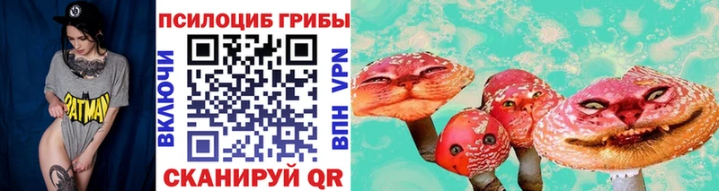 Псилоцибиновые грибы Psilocybine cubensis darknet какой сайт Черногорск